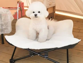 강아지해먹 판매량 순위 Best 7