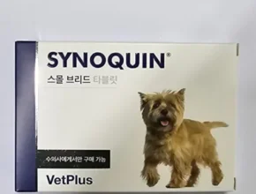 사이노퀸 상품 순위 베스트 7