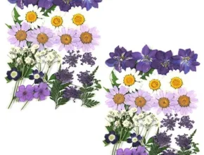 압화 Top 7 모아보기
