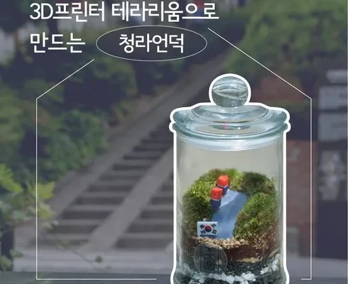 대구테라리움 Top 7 모아보기