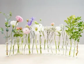 이케바나화병 Top 7 장단점과 리뷰